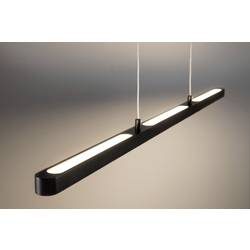 Paulmann Lento 79885 LED-Pendelleuchte LED LED fest eingebaut 40.5 W Schwarz (matt)