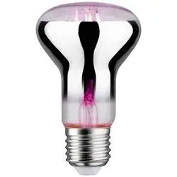 Paulmann LED-Pflanzenlampe Wachstum 230 V E27 6.5 W Bernstein 1 St.