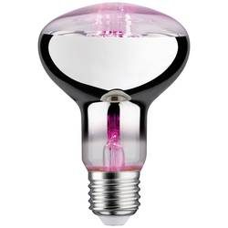LED-Pflanzenlampe E27 R80 6,5W