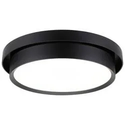 Paulmann 96780 Malik LED-Deckenleuchte LED 13.5 W Schwarz (matt)