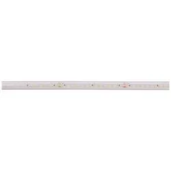 Deko Light Long Run 840396 LED-Streifen EEK: F (A - G) mit offenem Kabelende 48 V 15 m Warmweiß 1 St.