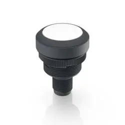 RAFI 1.10.011.201/0201 RAMO 22 T Drucktaster 35 V/DC 0.1 A tastend (L x B x H) 40 x 29.8 x 29.8 mm 1 St.