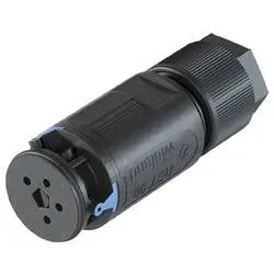 Wieland Electric 41.041.3043.9 Steckverbinder