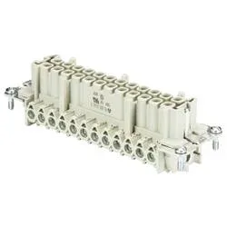 Wieland Electric 70.301.2440.0 Buchseneinsatz Gesamtpolzahl 24 10 St.