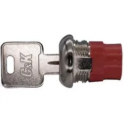 C & K Switches Y1417U2C203NQ Switch lock Y Series Schlüsselschalter 125 V/AC, 28 V/DC 4 A 2 x Ein/Ein/Ein 1 St.