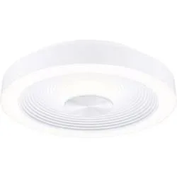 Paulmann 71177 Volea LED-Deckenleuchte LED 3.5 W, 13 W Weiß, Silber