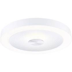 Paulmann 71179 Volea LED-Deckenleuchte LED LED 4 W, 18.5 W Weiß, Silber