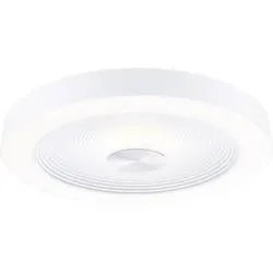 Paulmann 71179 Volea LED-Deckenleuchte LED LED 4 W, 18.5 W Weiß, Silber
