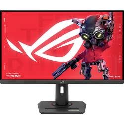 Asus Gaming-Monitor 