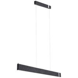 Paulmann Jagun 79995 LED-Pendelleuchte LED 21 W Anthrazit