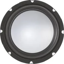 Sintron 201729 20 cm Tieftöner 200 W 4 ?
