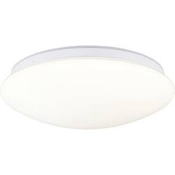 Paulmann 75407 Leonis II Dämmerungsgesteuerter Bewegungsmelder (HF) Deckenleuchte LED LED fest eingebaut 16.5 W Weiß