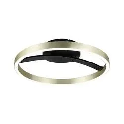 Paulmann 94927 Melira LED-Deckenleuchte 24 W Schwarz (matt), Gold