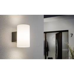 Paulmann 94186 Außenwandleuchte LED E27 15 W Anthrazit
