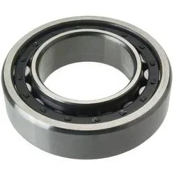 FAG NN3010-AS-K-M-SP Zylinderrollenlager Bohrungs-Ø 50 mm Außen-Durchmesser 80 mm Drehzahl (max.) 10000 U/min