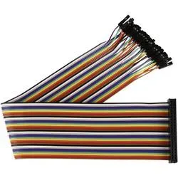 Joy-it RB-CB2-030 Jumper-Kabel Raspberry Pi® [40x Drahtbrücken-Buchse - 40x Drahtbrücken-Buchse] 30.00 cm Bunt inkl.