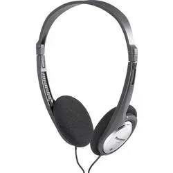 Panasonic RP-HT030 On Ear Kopfhörer kabelgebunden Stereo Schwarz, Silber Leichtbügel