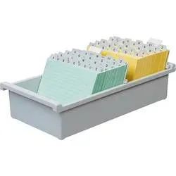 HAN Karteikartenbox DIN A4 1300 Karten Lichtgrau 32,2 x 34,6 x 13,8 cm