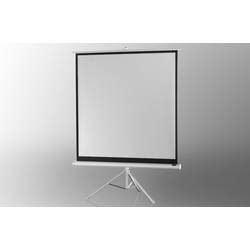 Celexon Stativ Economy 1090274 Stativleinwand 244 x 244 cm Bildformat: 1:1