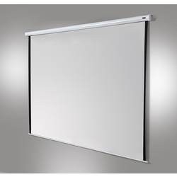 Celexon Rollo-Leinwand Eco 280 cmx280