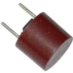 ESKA 887114-1 887114 Kleinstsicherung radial bedrahtet rund 500 mA 250 V Träge -T- 1 St.