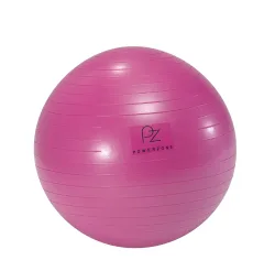 POWERZONE 55 cm Gymnastikball Rosa, Herren, Größe: 1