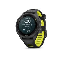 Garmin Smartwatch 