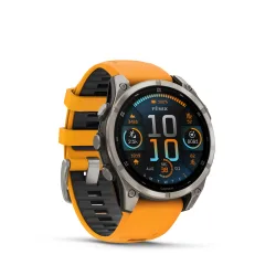 Garmin Smartwatch 