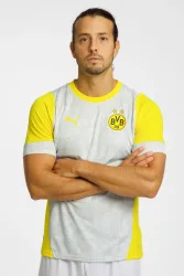 PUMA Borrusia Dortmund Training Herren T-Shirt 25/26 Silber, Herren, Größe: M