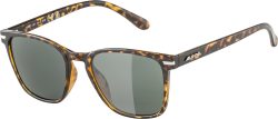 Alpina Yefe Sonnenbrille - havana matt, black cat. 3