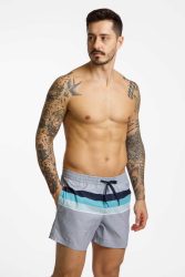 Quiksilver Everyday Printed Volley 15