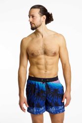 Quiksilver Everyday Printed Volley 15