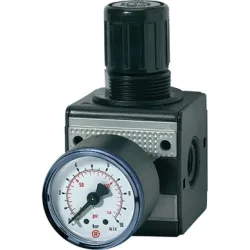 RIEGLER Druckregler MULTIFIX, BG I G 1/4 ?, Gewinde mm 11,89, 0,5 10 bar 1500 l/min