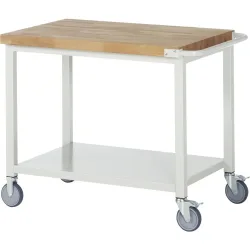 RAU mobile Werkbank Serie 8000, HxBxT 880-1.080 x 1.000 x 700 mm, 1 Ablageboden