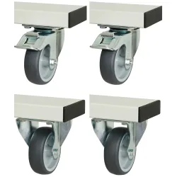 Rau Rollensatz für höhenverstellbare Arbeitstische Adlatus 300/600, 2 Bock- und Lenkrollen mit Feststeller, Ø 100 mm, H 125 mm, TPR, grau