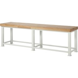 Schwerlast-Werkbank, Plattenstärke 100 mm, BxT 2500 x 700 mm RAU