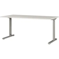 Schreibtisch PROFI, 1.600 x 800 mm, mech. höhenverstellbar, Lichtgrau/Silber
