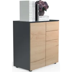 Kommode Dalosa, 4 Fächer & 2 Schübe, Tür, B 700 x T 390 x H 770 mm, Holz, anthrazit/Honig-Eiche