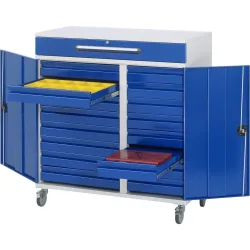 RAU mobiles Rollpult, HxBxT 1.185 x 1.100 x 520 mm, Schubladen 16 x 80, 1 x 120 mm