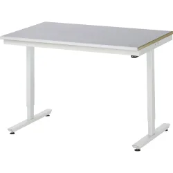 Rau Arbeitstisch Adlatus, elektrisch höhenverstellbar, 25 mm MDF-Platte, Stahlblechbelag, 150 kg, B 1250 x T 800 x H 720-1120 mm, silber/lichtgrau