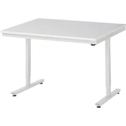 Rau ESD-Arbeitstisch Adlatus, elektrisch höhenverstellbar, 28 mm Spanplatte mit Melaminbelag, bis 150 kg, B 1250 x T 1000 x H 720-1120 mm, lichtgrau