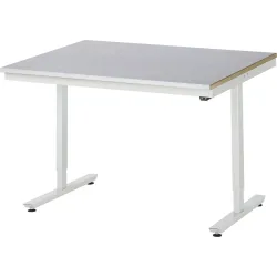 Rau Arbeitstisch Adlatus, elektrisch höhenverstellbar, 25 mm MDF-Platte, Stahlblechbelag, 150 kg, B 1250 x T 1000 x H 720-1120 mm, silber/lichtgrau