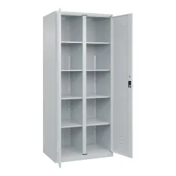 C+P Wäsche-Spind Classic PLUS, 2 Abteile, HxBxT 1.850 x 800 x 500 mm, lichtgrau, lichtgrau, für Vorhängeschloss, mit Mitteltrennwand