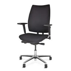 BISLEY Bandscheiben-Bürostuhl, multifunktionale T-Armlehne, niedrige Lehne
