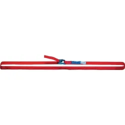 Dolezych Zurrgurt DIN EN 12195-2 Länge 6 m Breite 25 mm mit Klemmschloss