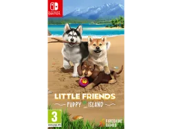 Spielesoftware 