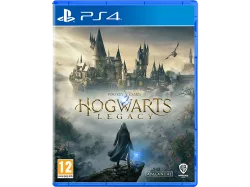 Spielesoftware 
