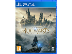 Spielesoftware 