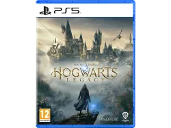 Spielesoftware 
