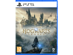 Spielesoftware 